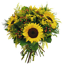 Bouquet of Sunflowers-458