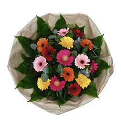 Bouquet of Mixed Gerberas-451