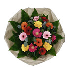 Bouquet of Mixed Gerberas-451