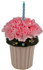 Cupcake Surprise from your Clinton, TN florist