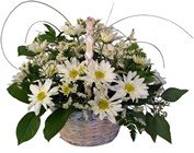 Daisy Basket