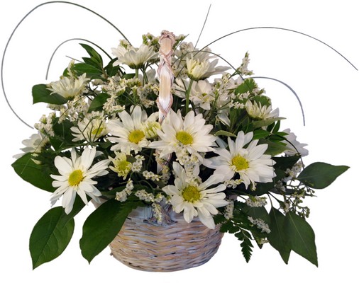 Country Fresh Daisies from your local Clinton,TN florist, Knight's Flowers
