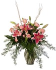 Pink Profusion