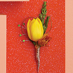 Summer Lovin' Groom's Boutonnière
