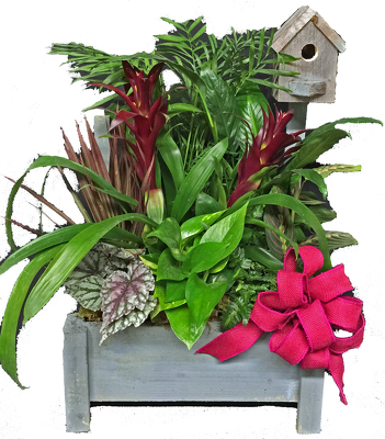 European Garden Birdhouse from your local Clinton,TN florist, Knight's Flowers