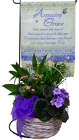 /images/lovingthoughtsplanterlg.jpg Loving Thoughts Planter from your Clinton, TN florist