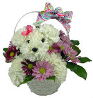You're So Doggone Cute from your Clinton, TN florist