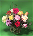 Rainbow Roses