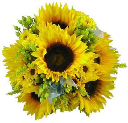 Sensational Sunflower Bride's Bouquet from your local Clinton,TN florist, Knight's Flowers