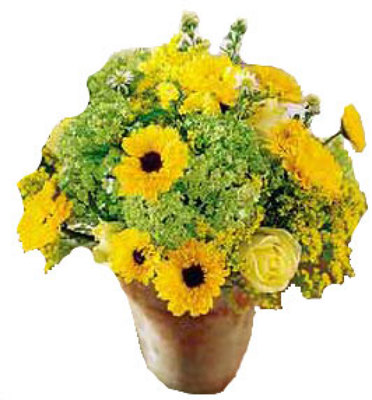 Sensational Sunflower Centerpiece from your local Clinton,TN florist, Knight's Flowers
