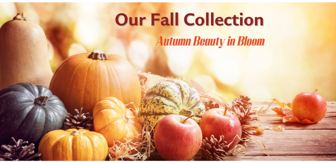 Fall Flowers from Knight's Flowers