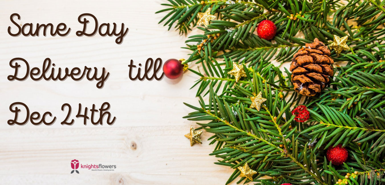 Delivering Christmas same-day, every day through December 23rd! 