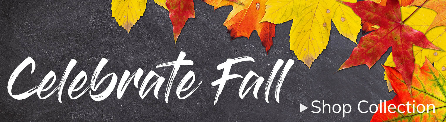 Shop the Fall Collection Here