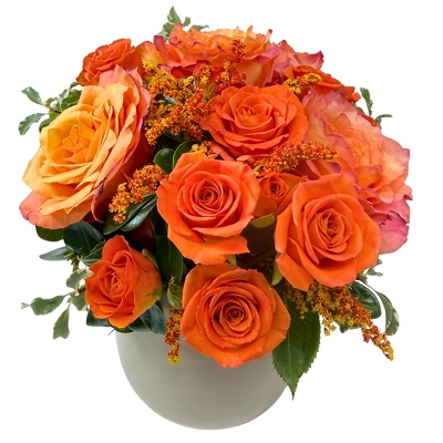 Harvest Glow Roses from your local Clinton,TN florist, Knight's Flowers