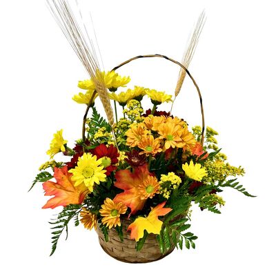 Autumn Daisies from your local Clinton,TN florist, Knight's Flowers