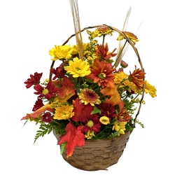 Autumn Daisies