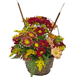 Autumn Daisies from your local Clinton,TN florist, Knight's Flowers