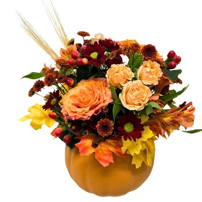 Pumpkin Patch from your local Clinton,TN florist, Knight's Flowers