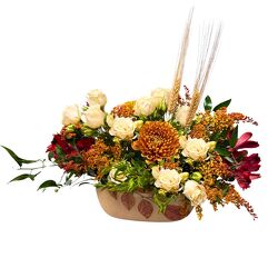 Autumn Harvest 