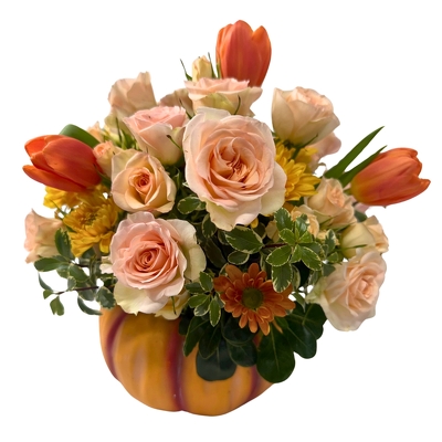 Pumpkin Garden from your local Clinton,TN florist, Knight's Flowers