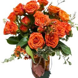 Pumpkin Spice Roses