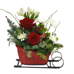 Sleigh Ride from your local Clinton,TN florist, Knight's Flowers