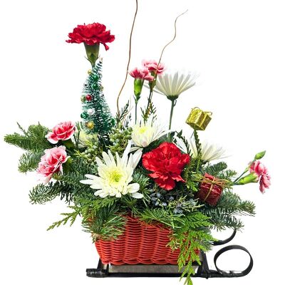 Sleigh Ride from your local Clinton,TN florist, Knight's Flowers
