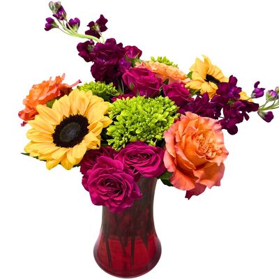 You Are My Sunshine from your local Clinton,TN florist, Knight's Flowers