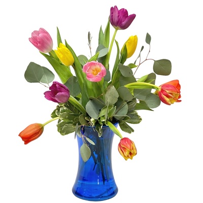 Mad For Tulips from your local Clinton,TN florist, Knight's Flowers