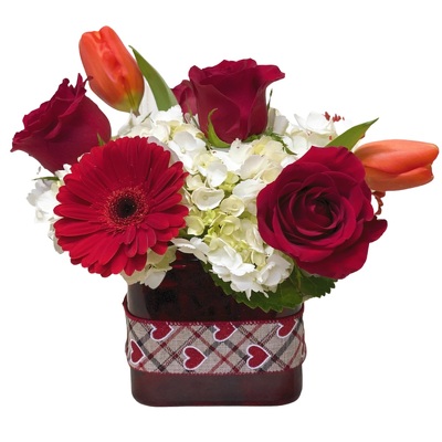 Red Hot from your local Clinton,TN florist, Knight's Flowers