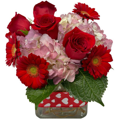 Red Hot from your local Clinton,TN florist, Knight's Flowers