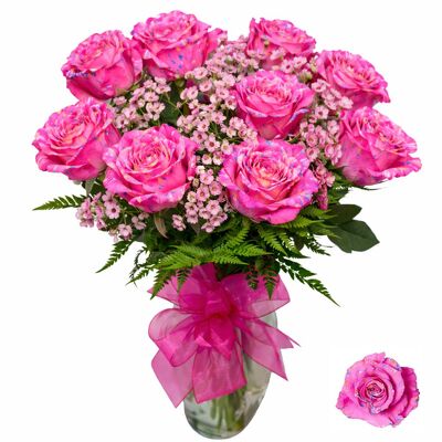 Pink Crush Roses from your local Clinton,TN florist, Knight's Flowers