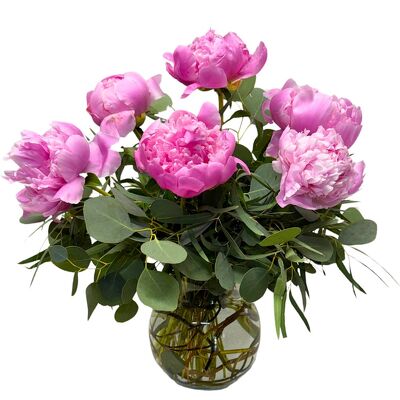 Blusing Peony Garden from your local Clinton,TN florist, Knight's Flowers