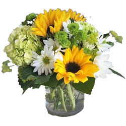 Sunny Sunflowers from your local Clinton,TN florist, Knight's Flowers