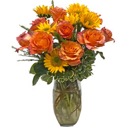 Van Gogh from your local Clinton,TN florist, Knight's Flowers