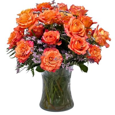 24 Just Peachy 'Free Spirit' Roses from your local Clinton,TN florist, Knight's Flowers