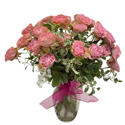 Color Crush Rose Garden-Dusty Rose from your local Clinton,TN florist, Knight's Flowers