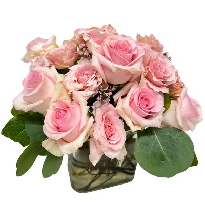Simply Roses-Pink Cloud from your local Clinton,TN florist, Knight's Flowers