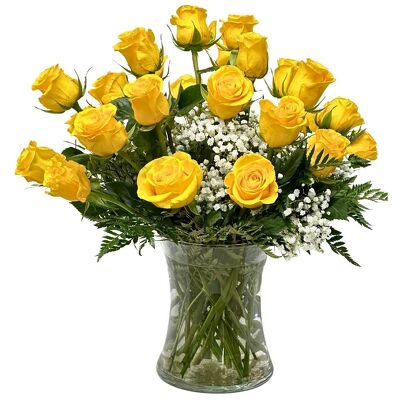 24 Sunny 'Brighton' Roses from your local Clinton,TN florist, Knight's Flowers