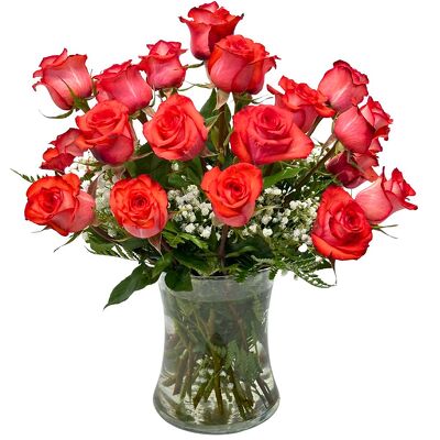 24 Earthy 'Iguana' Roses from your local Clinton,TN florist, Knight's Flowers