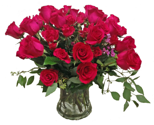 Raspberry Sorbet from your local Clinton,TN florist, Knight's Flowers