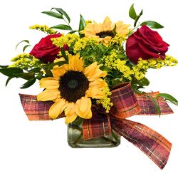 Sassy Sunflowers