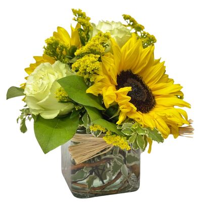 Sassy Sunflowers from your local Clinton,TN florist, Knight's Flowers