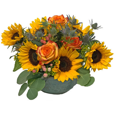 Sunflower Garden from your local Clinton,TN florist, Knight's Flowers