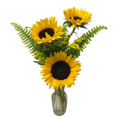 Sunny Day Bud Vase  from your local Clinton,TN florist, Knight's Flowers