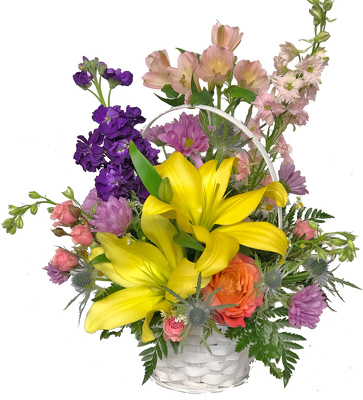 Splash of Color from your local Clinton,TN florist, Knight's Flowers