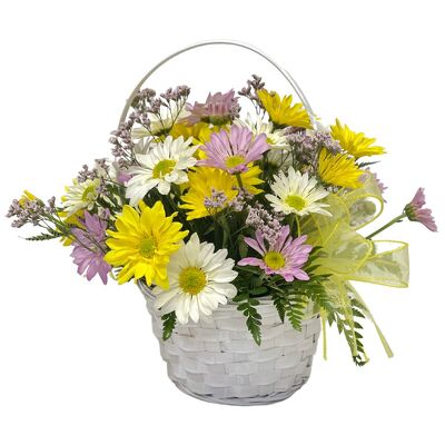 Daisy Basket from your local Clinton,TN florist, Knight's Flowers