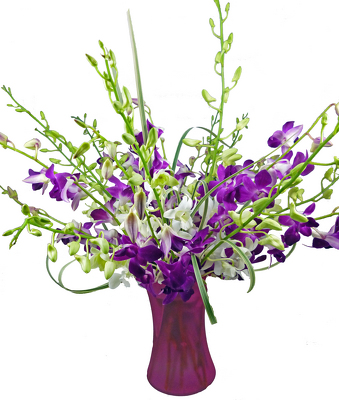 Dazzling Orchids Bouquet from your local Clinton,TN florist, Knight's Flowers