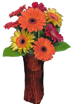 Colorful Gerberas Boquet from your local Clinton,TN florist, Knight's Flowers