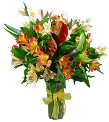 Fancy Alstroemeria Bouquet from your local Clinton,TN florist, Knight's Flowers